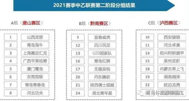 澳门一码一肖一特一中合法性分析;规程解读与实施指南